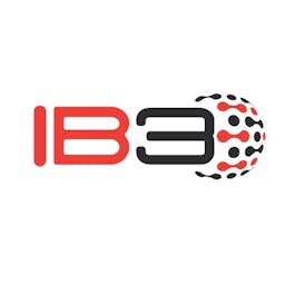 IB3 Global Solutions logo