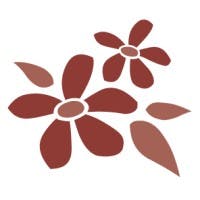 Sand Cherry logo