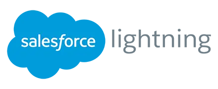 Salesforce Lightning icon